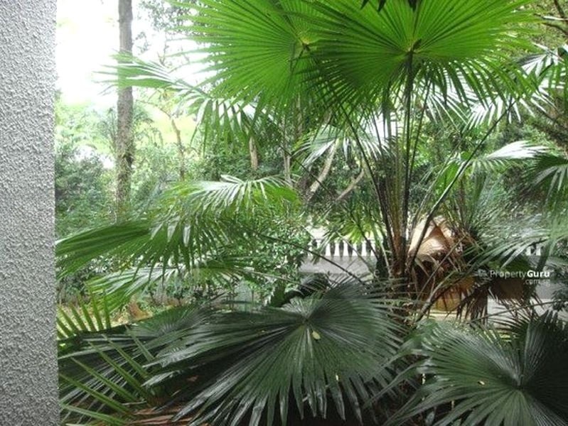 TANGLIN PARK 7