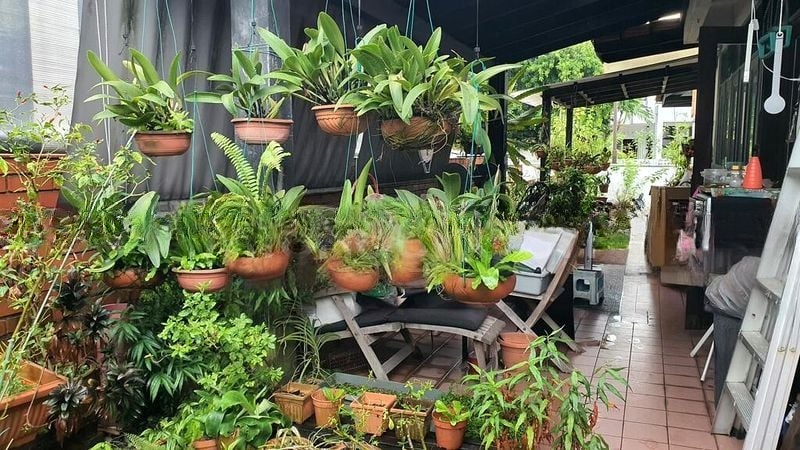WEI MIN GARDEN 8