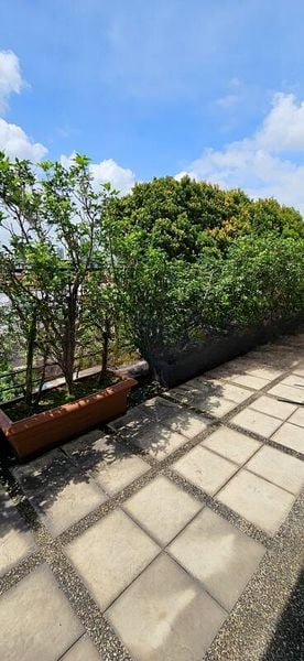 CHOON SING GARDEN 1