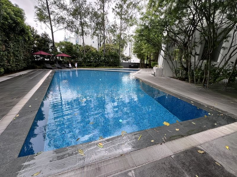 JERVOIS VIEW 15