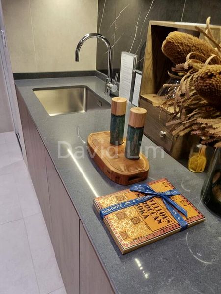 THE WATERGARDENS AT CANBERRA 13