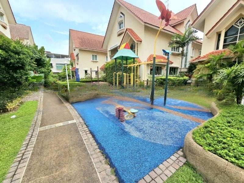 SUNGROVE 1