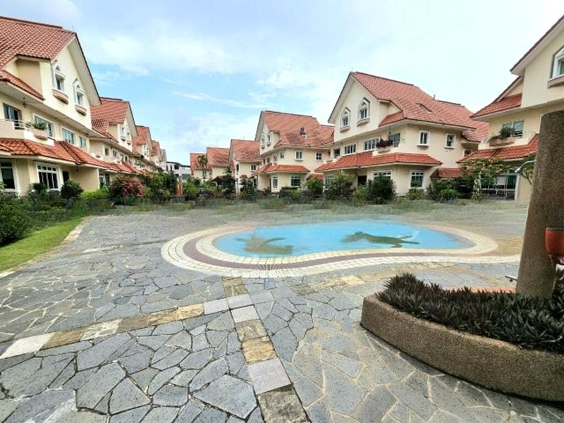 SUNGROVE 2