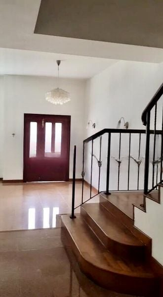 SUNGROVE 4
