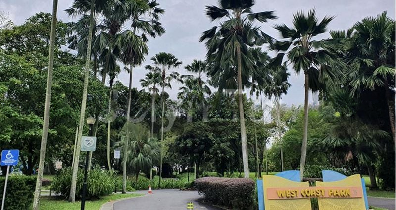 LANDED HOUSING DEVELOPMENT 13