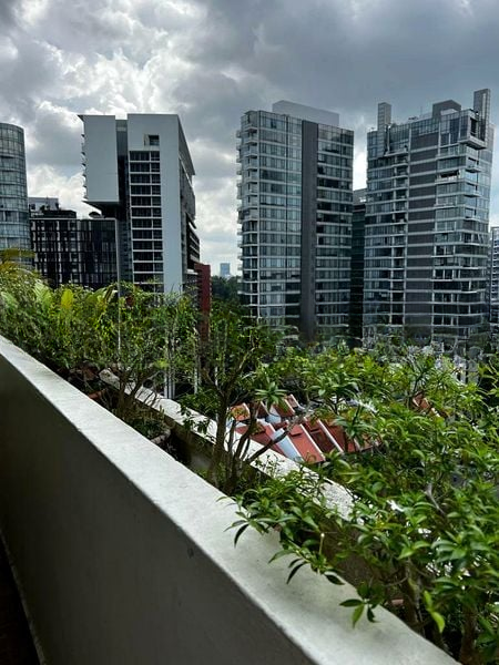 ELIZABETH HEIGHTS 7