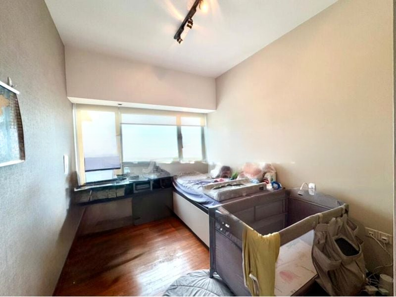 TREVISTA 6