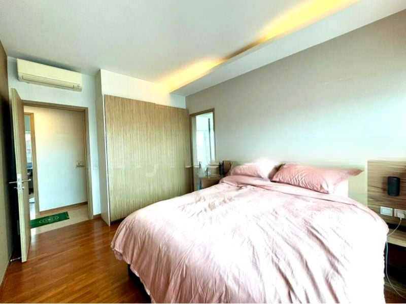 TREVISTA 12