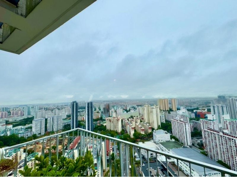TREVISTA 15