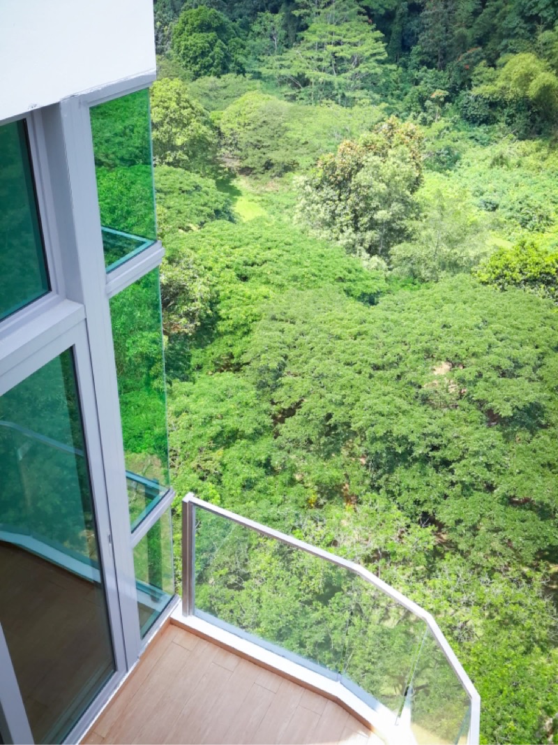 KINGSFORD . HILLVIEW PEAK 11