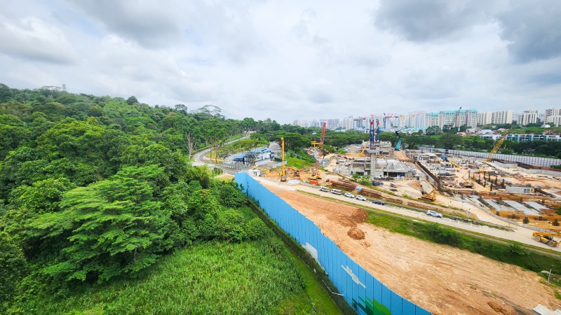 KINGSFORD . HILLVIEW PEAK 15