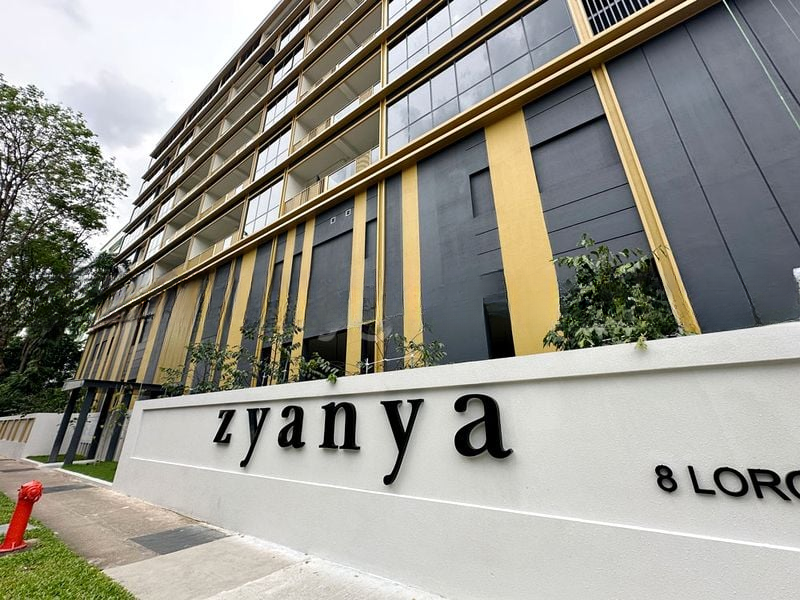 ZYANYA 2