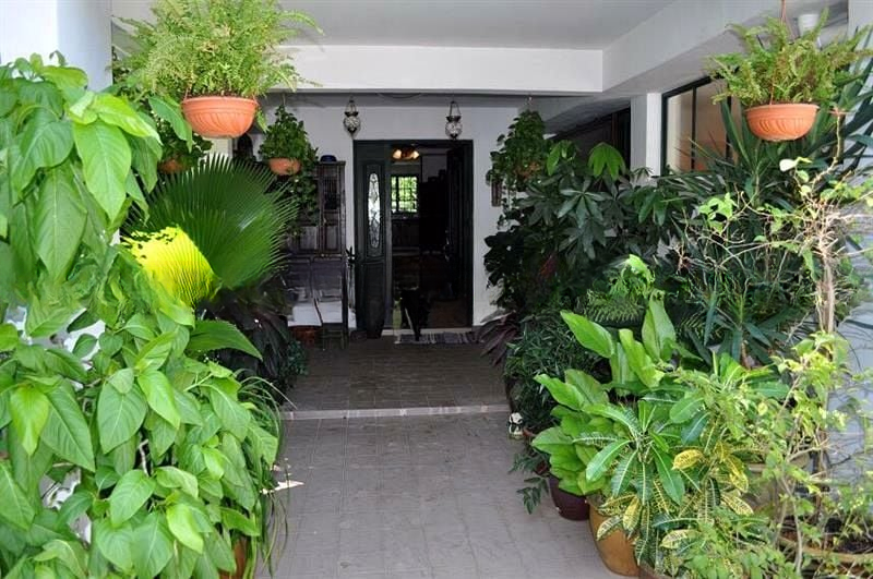 ANGSANA PARK 1