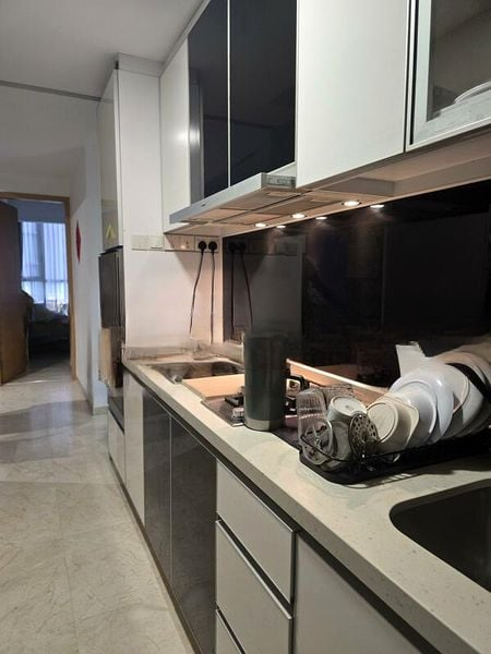 ANGULLIA PARK RESIDENCES @ ORCHARD 2