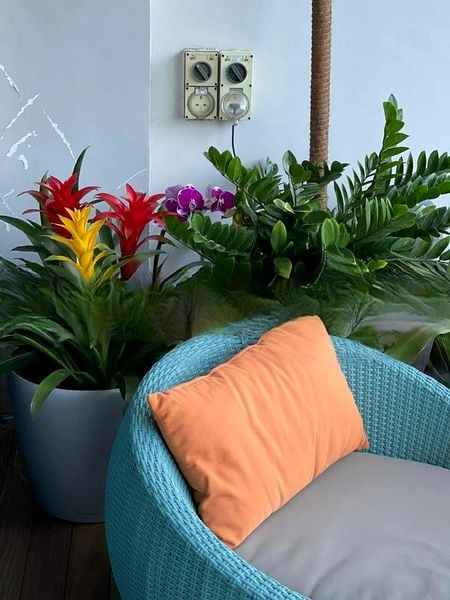 RESIDENCES @ EVELYN 5