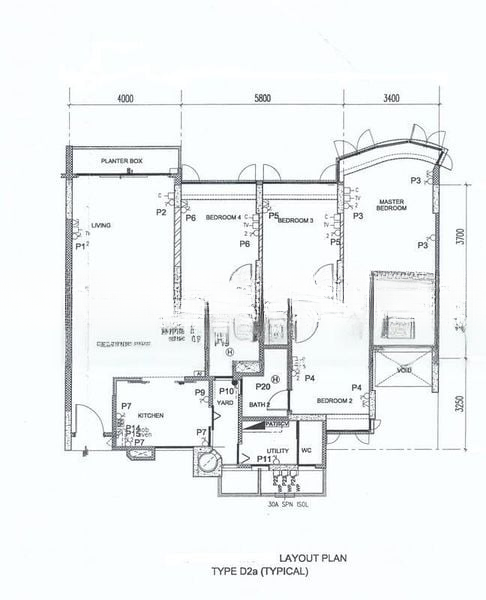 BLOSSOMS @ WOODLEIGH 7