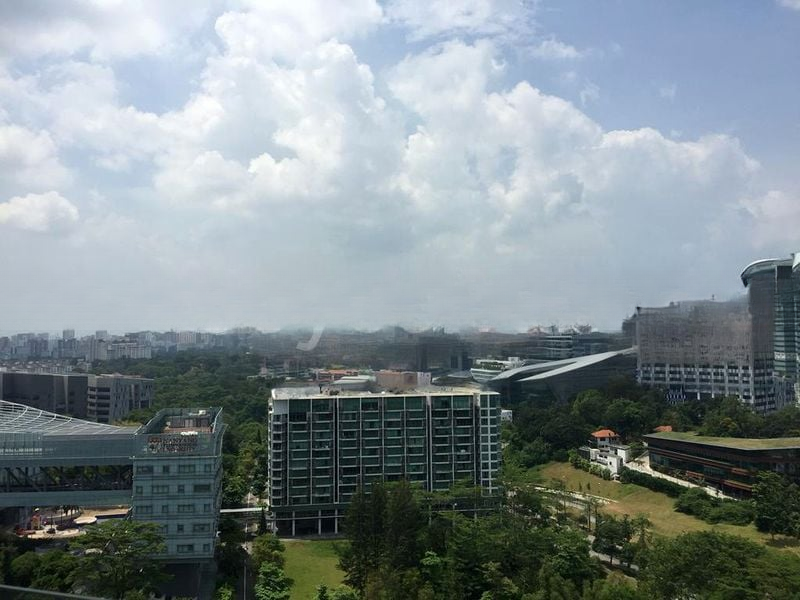 THE ROCHESTER RESIDENCES 11