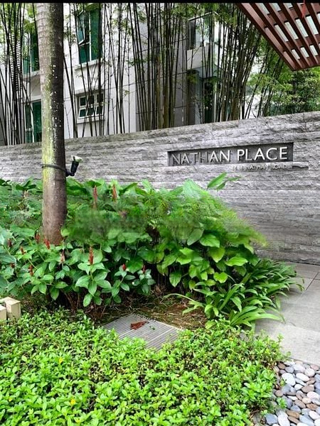 NATHAN PLACE 4