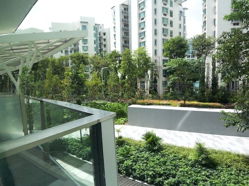 CORALS AT KEPPEL BAY 6