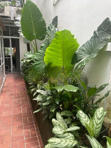 TIONG BAHRU ESTATE 2