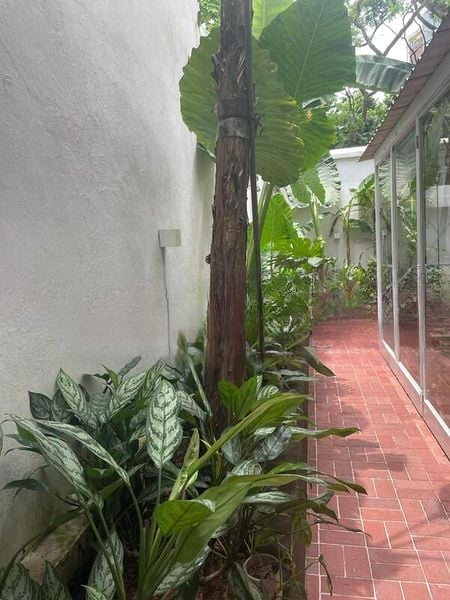 TIONG BAHRU ESTATE 5