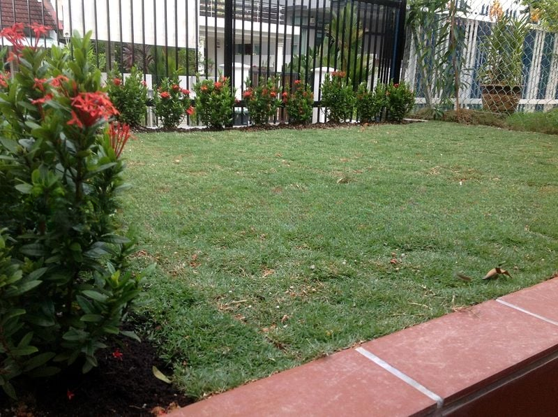 SERANGOON GARDEN ESTATE 6
