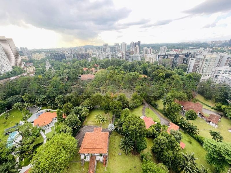 REIGNWOOD HAMILTON SCOTTS 9