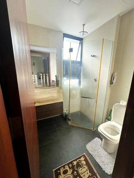 QUBE SUITES 1