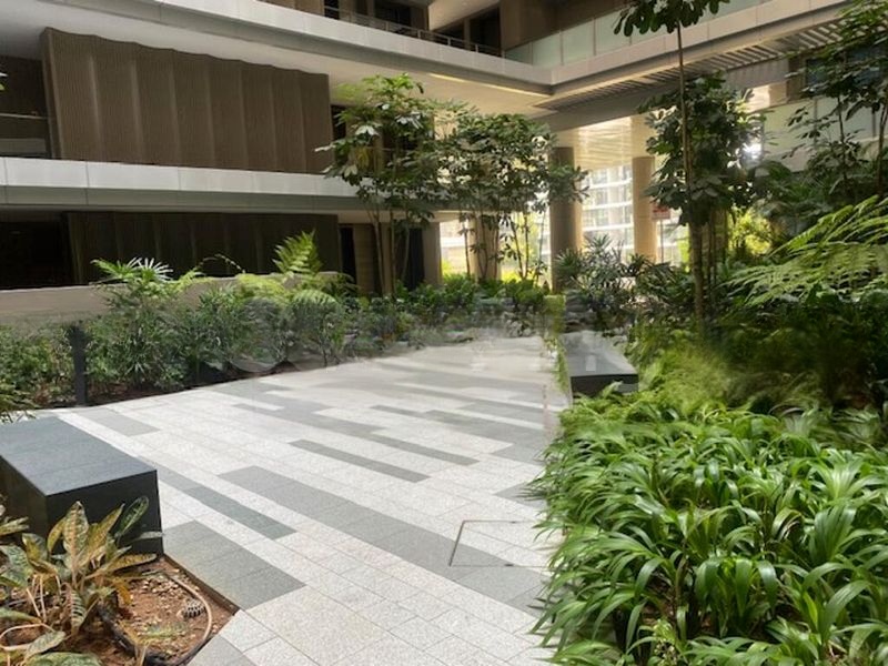 THE REEF AT KING'S DOCK 12