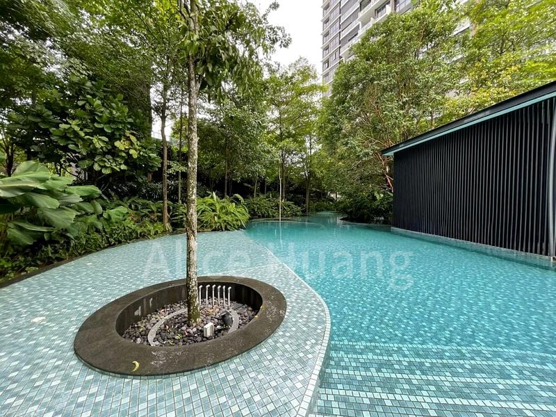 THE CLEMENT CANOPY 2