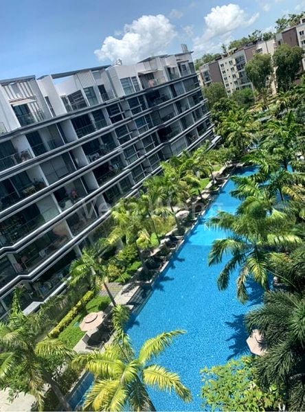 HEDGES PARK CONDOMINIUM 7