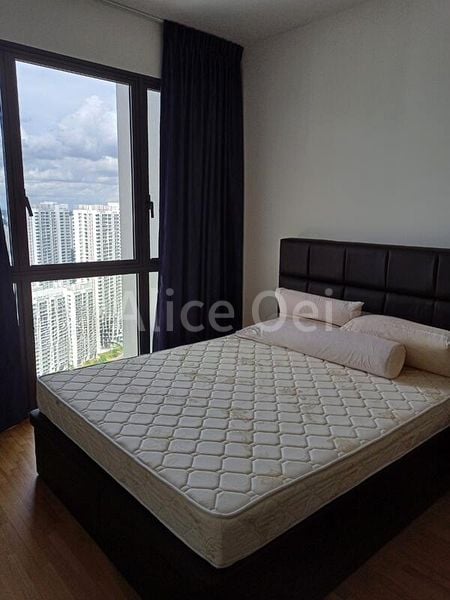 THE CLEMENT CANOPY 5