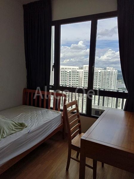 THE CLEMENT CANOPY 6