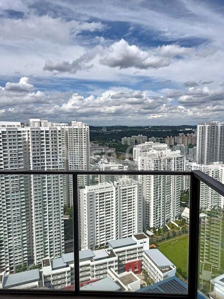 THE CLEMENT CANOPY 7