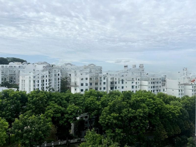 SUMMERHILL 12
