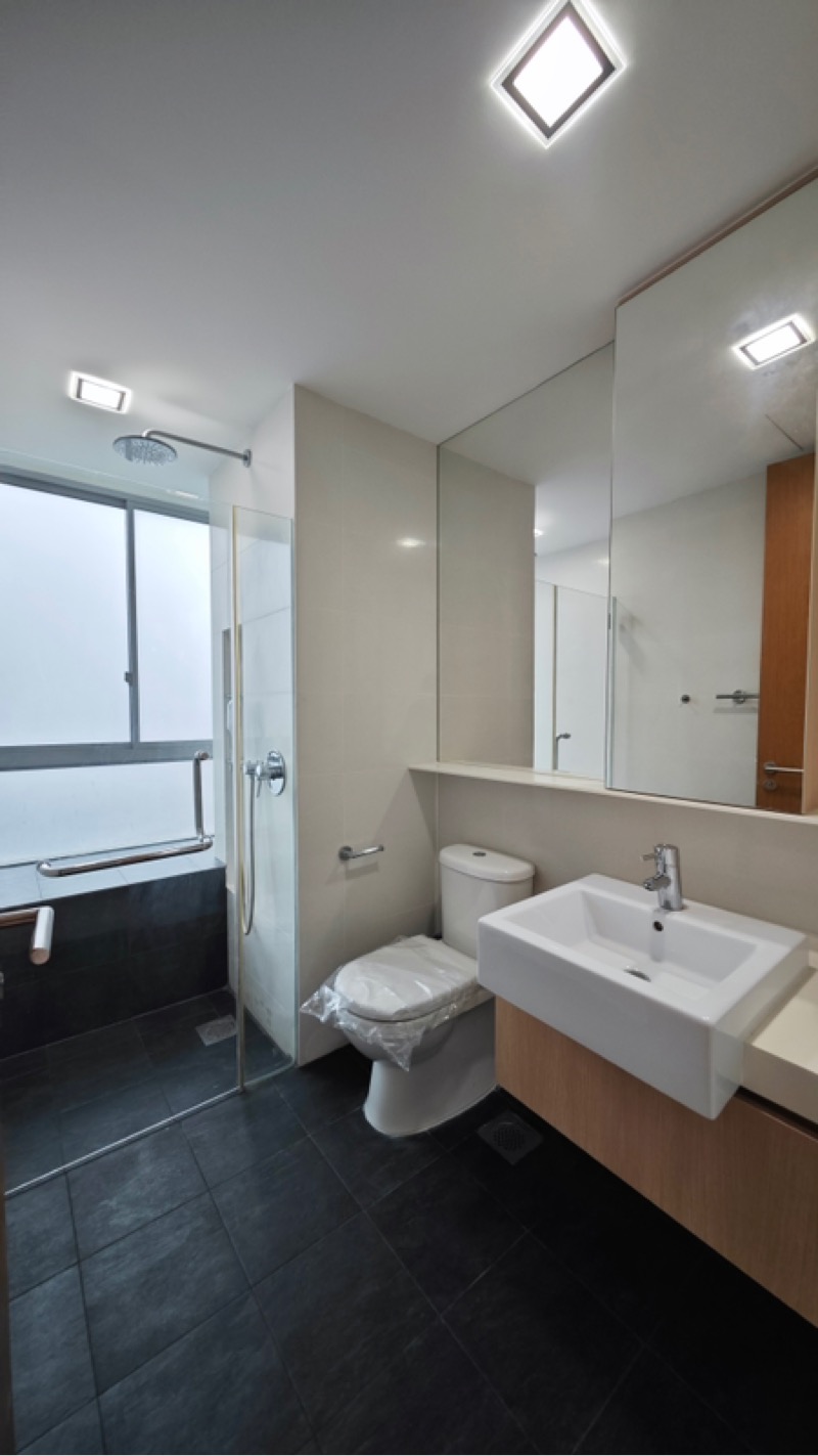 CORALIS 26