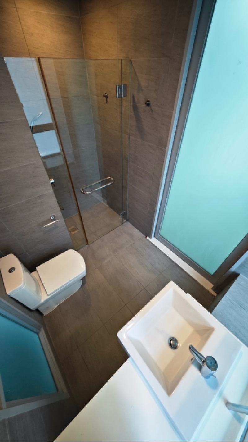 CORALIS 31