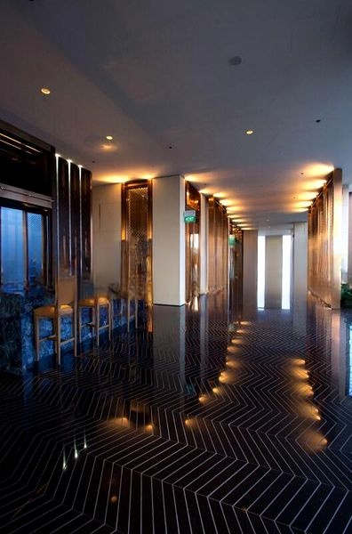 THE RITZ-CARLTON RESIDENCES SINGAPORE CAIRNHILL 4