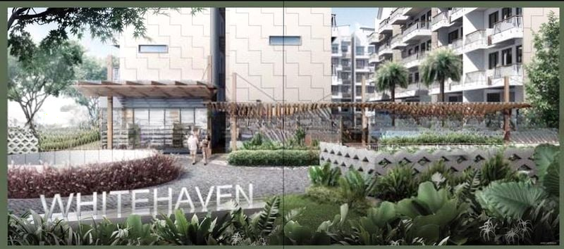 WHITEHAVEN 14