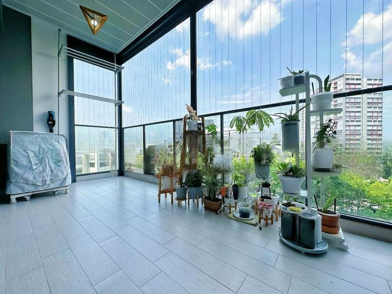 THE CLEMENT CANOPY 7