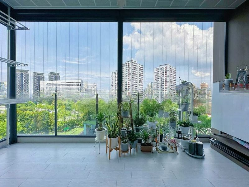 THE CLEMENT CANOPY 8