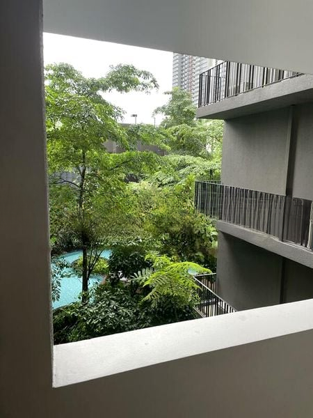 THE CLEMENT CANOPY 10