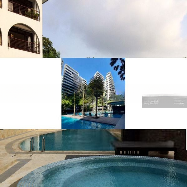 JERVOIS GROVE 5