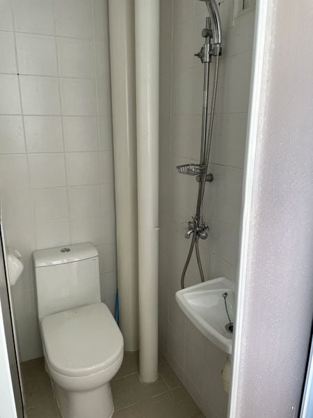 BLOSSOMS @ WOODLEIGH 12