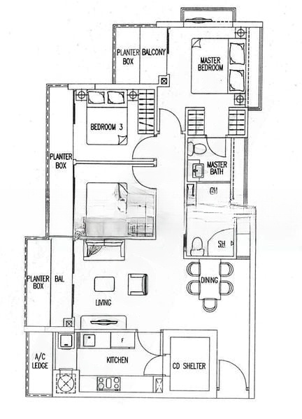 BLU CORAL 8