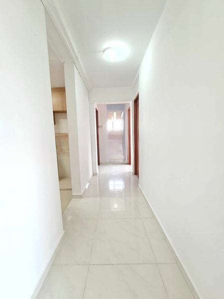 SPOTTISWOODE PARK 11