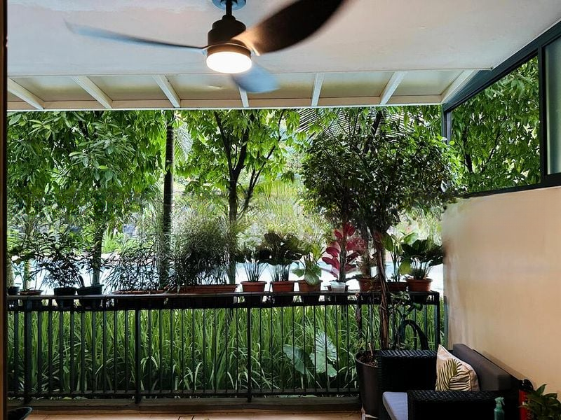COCO PALMS 1