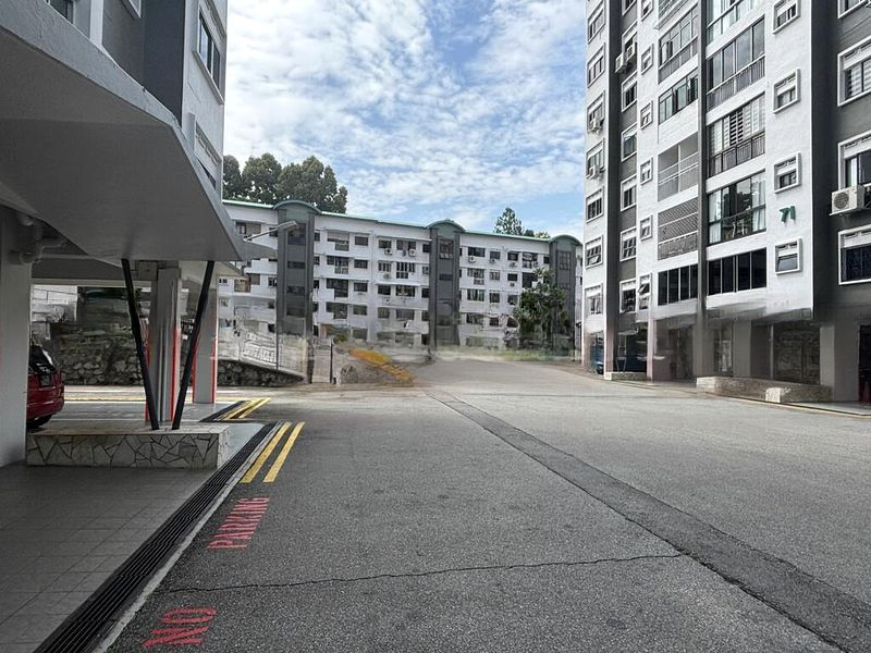 CAVENAGH GARDENS 7