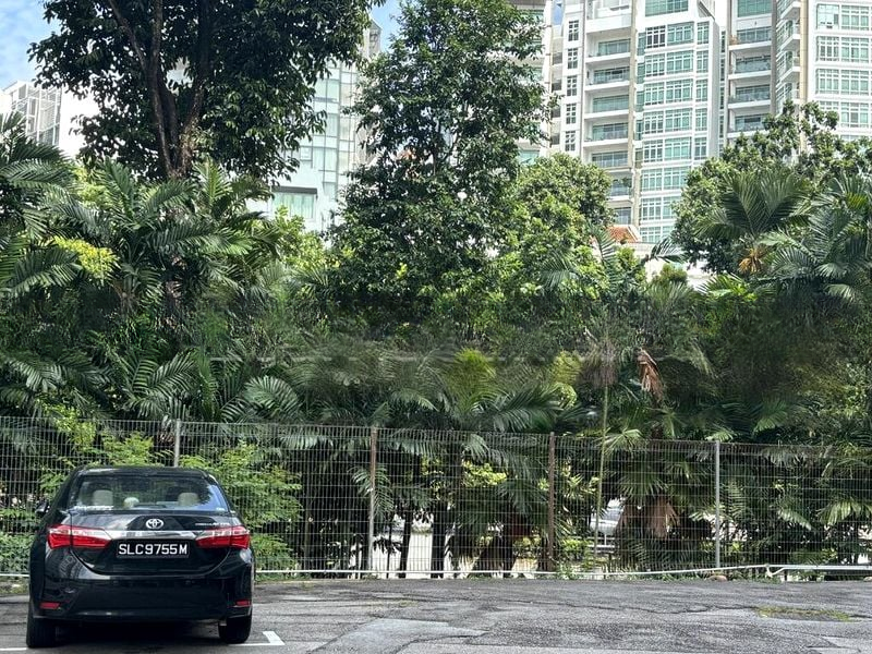 CAVENAGH GARDENS 2