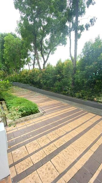 CENTRAL GROVE 2